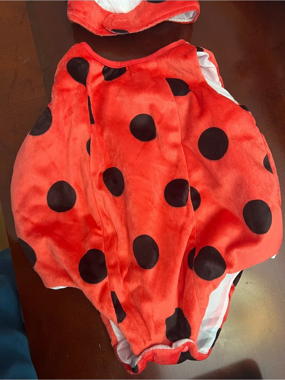 Spooktacular Creations Baby Ladybug Costume - Red
